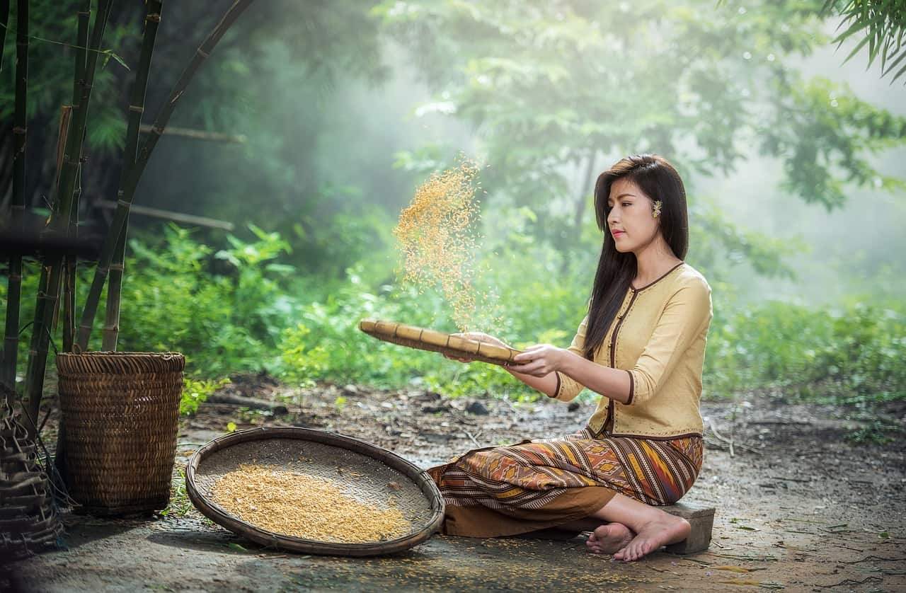 Fermented rice water shampoo for hair