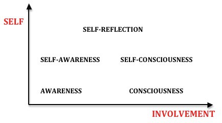 Image result for Self-involvement: