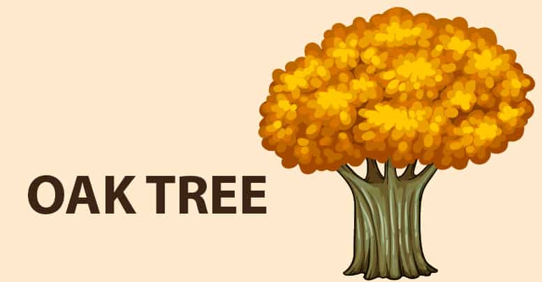 Your choice reveals your personality