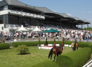 The biggest horse races of the year and how you can bet