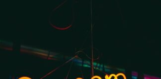 Orgasm Chasm neon signage