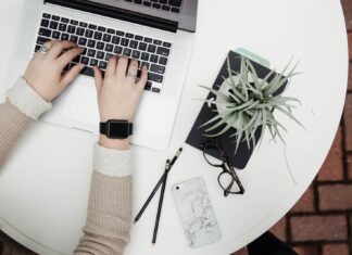 3 Top Tips for Staying Healthy at Work person using laptop computer beside aloe vera
