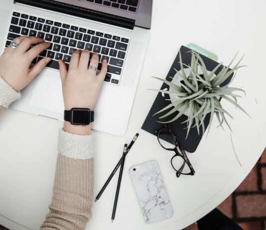 3 Top Tips for Staying Healthy at Work person using laptop computer beside aloe vera