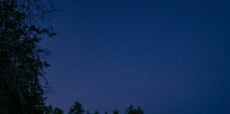 bonfire near body of water during night time
