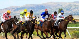 Horses, Racing, Wyoming, Downs, Track, Betting, Jockeys