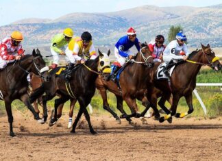 6 Most Important Rules To Become A Successful Sports Betting Player Horses, Racing, Wyoming, Downs, Track, Betting, Jockeys
