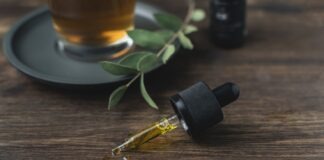 black and silver portable speaker beside green leaves