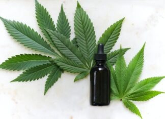 9 Tips When Looking for CBD green cannabis leaves and black glass drops bottle
