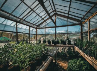 Parts You Need for Your Greenhouse! green plants inside greenhouse during daytime