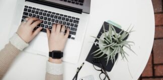 person using laptop computer beside aloe vera