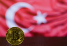 Progress of Bitcoin Trading in Turkey