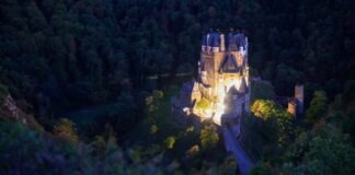 brown concrete castle in the middle of forest