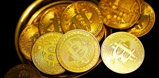 gold round coins on black surface