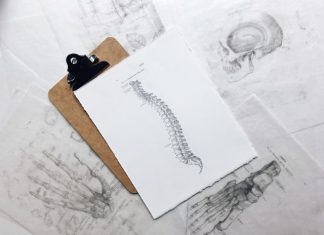 What Spine Injuries Are Most Common in Car Accidents? brown and black clipboard with white spinal cord print manual