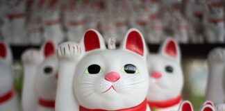 pile of Japanese lucky cat