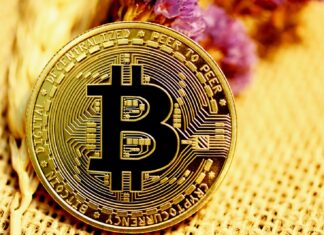 The craze of bitcoin in 2022! gold and black round coin