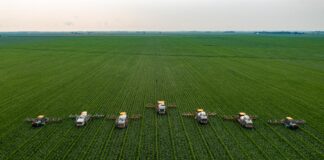 white and black houses on green grass field under white sky during daytime