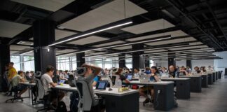 people doing office works