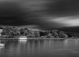 What Are Winters Like in Arkansas? trees beside body of water in grayscale photo