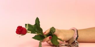 person holding red rose flowers