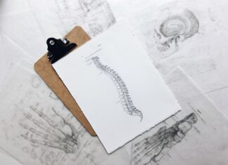 How You Can Get Legal Compensation After a Spinal Cord Injury brown and black clipboard with white spinal cord print manual