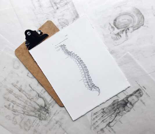 brown and black clipboard with white spinal cord print manual