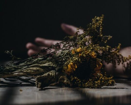 yellow flowers