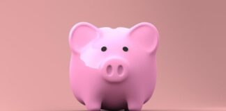 Free Piggy Bank Money illustration and picture