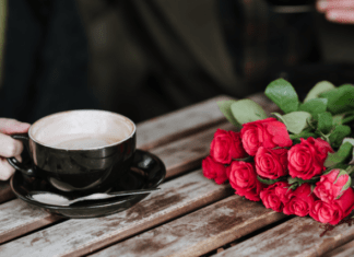 Sakuradate: Revealing the Secrets of a Successful Relationship