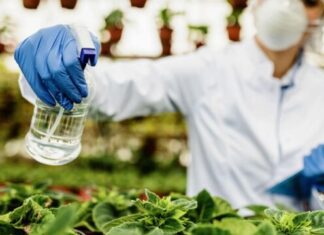 Paraquat Lawsuit and the Disease without a Cure