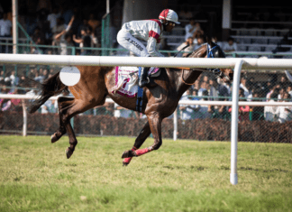 Interesting Facts You Didn’t Know About Horse Racing
