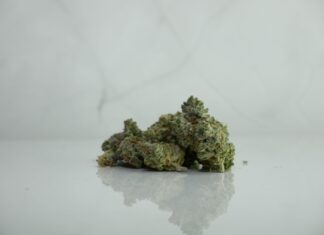 A Review of The Water Pipes And Bongs