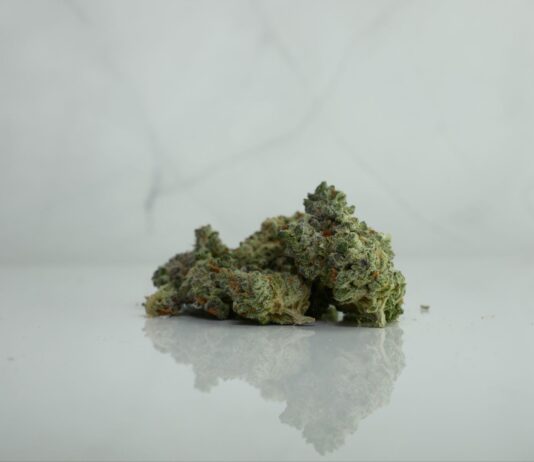 A Review of The Water Pipes And Bongs