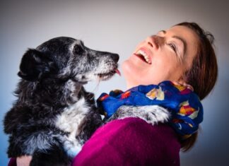 Rescue Pets and Hidden Health Concerns: Unveiling the Role of Comprehensive Pet Insurance woman in blue and white floral shirt lying on red sofa