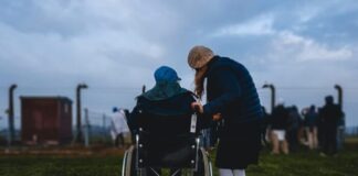 woman standing near person in wheelchair near green grass field