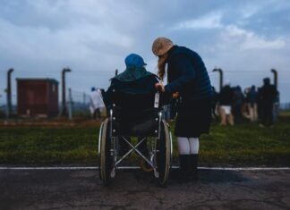 The Vital Role of Disability Lawyers and How They Advocate for Your Rights in Canada woman standing near person in wheelchair near green grass field