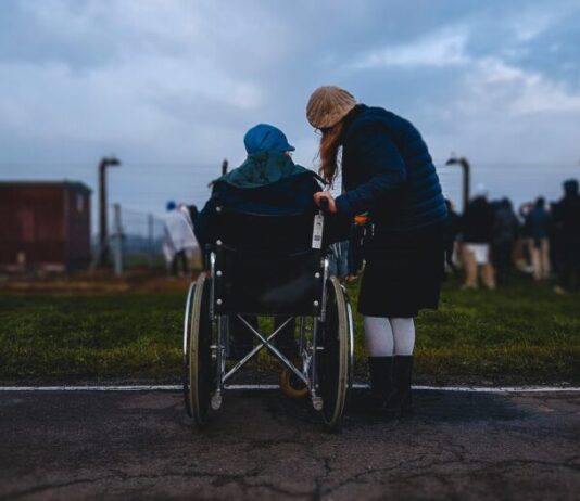 woman standing near person in wheelchair near green grass field