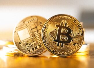 Cryptocurrency Casinos: The Future of Online Gambling gold round coin on white surface