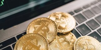 Gold Coins on the Laptop