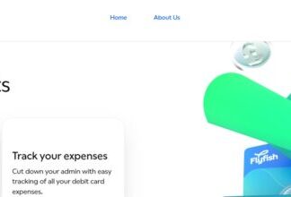 Flyfish Review – A Service That Provides Effective IBAN and Payroll Management Solutions