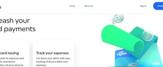 Flyfish Review – A Service That Provides Effective IBAN and Payroll Management Solutions