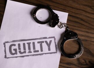 Blueprints for Redemption: Strategies Used by Wrongful Conviction Lawyers