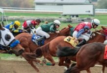 horse race in the thick