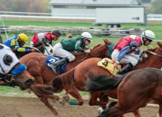 How to Use Racing Odds to Your Advantage in the Melbourne Cup horse race in the thick