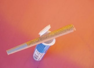 CBD Pre Rolls Explained: Why They’re Becoming the Go-To Choice for Natural Relaxation a toothbrush with a toothpaste on it