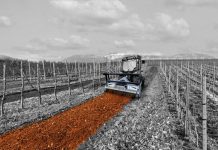 The Key Role of Forestry Mulchers in Sustainable Land Clearing