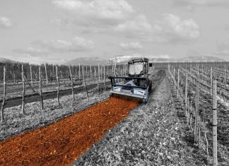 The Key Role of Forestry Mulchers in Sustainable Land Clearing