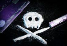 white and black owl figurine