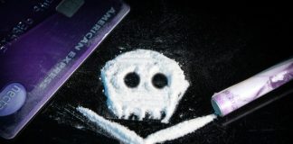 white and black owl figurine